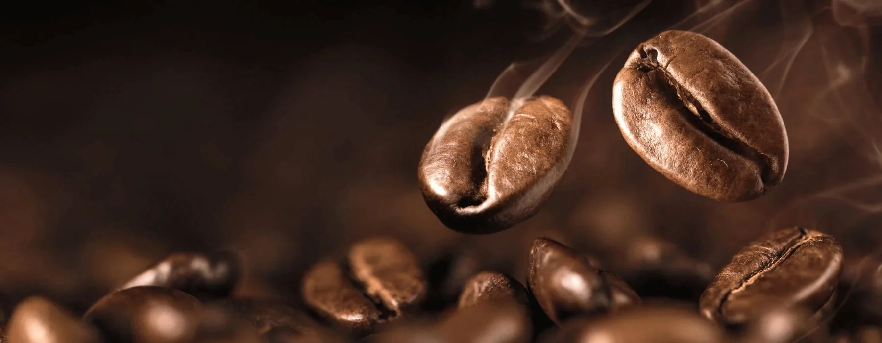 Master the Art of Roasting