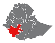 Ethiopia Yirgacheffe | Boxes - Image 3